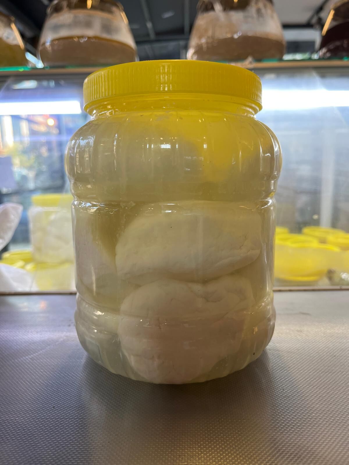PEYNİR ( İNEK SÜTÜNDEN YAPILMA)